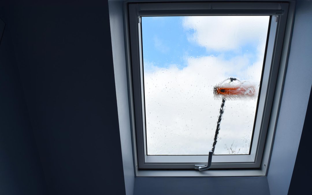 Why Use a Professional to Clean Your Windows?